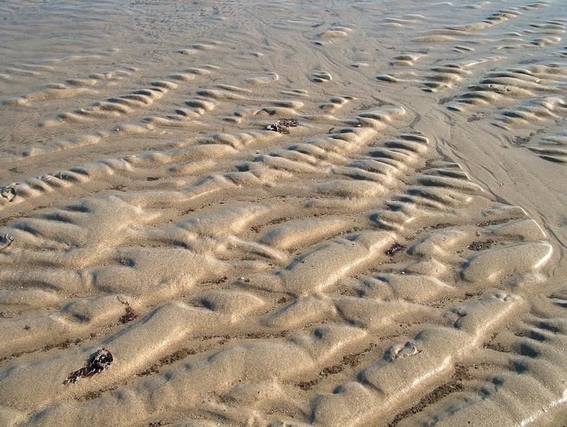 Farmhouse Wedding Venue